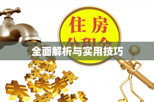 连云全面解析与实用技巧
