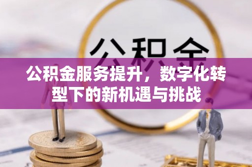 连云公积金服务提升，数字化转型下的新机遇与挑战