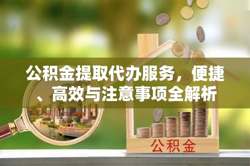 连云公积金提取代办服务，便捷、高效与注意事项全解析