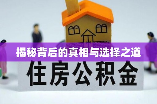 连云揭秘背后的真相与选择之道