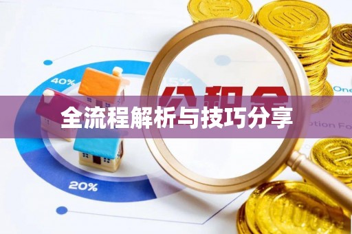 连云全流程解析与技巧分享